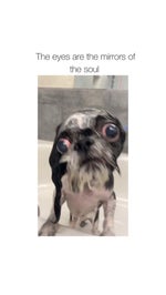 DOESN'T MEAN YOUR WEAK