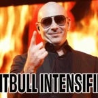 Pitbull - Dont stop the party