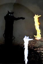 Metallica Too Far Gone