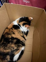 stormy baby you look like mommy