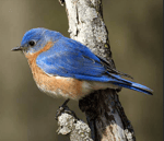 DDG Im Geekin Official Music Video