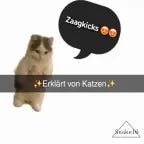 ZAAGKICKS (ERKLÄRT VON KATZEN) - Sound