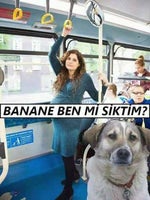 Sound Effect One Day