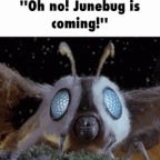 JUMBUG