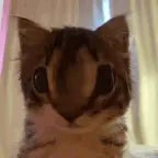 Untitled-video-Made-with-Clipchamp