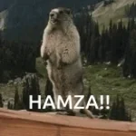 hamz