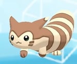 Furret walk around the world