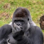 Recording 09/21/25 20:33:52