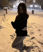 Speaking Animal Crossing Sound Effect