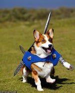 I AM THE DESTROYER OF