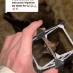 Subspace Tripmine Explosion