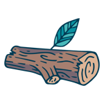 É um jeito carinhoso - Toninho