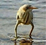 wenomechainsama tumajarbisaun wifenlooof eselifterbraun - Sound