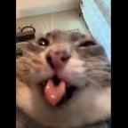 you use to call me on my cellphone