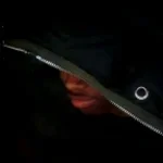 yo whats good its vervain