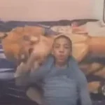 adam le rigolow COUCOU CA VA - Sound