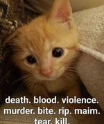 patrick i swear to g- boowomp