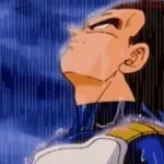 Beautiful Vegeta