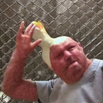 Bonk - Sound