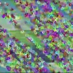 Salinewin.exe 9 (fire warning)