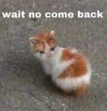 cupid - FIFTY FIFTY (tiktok mp3) - Sound