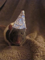 Don Toliver Embarrassed Part 2