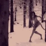 skinwalker