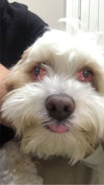 MeepCity Soundtrack Timely