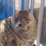 Empty the compartments of your Pantaloons - Sound