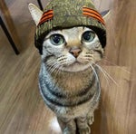 v0f044gc0000cqh6u8vog65tn64bjem0