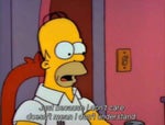 Homer Simpson : The Simpsons Didn’t mean that