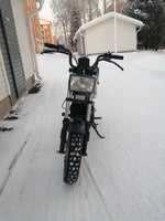 The Prophet Wanna Play