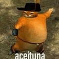 aceituna