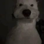 way too cooked