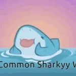 SHARKYY FOUU
