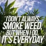 Smoke weed everyday (zelda)