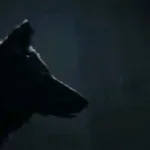 low honor sound effect - D4RKVd5