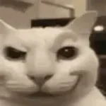 I CAN FEEL IT COMING OUT (better)