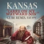 PLEASE SAVE MY WAYWARD SON