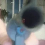 FAH song with gunshot