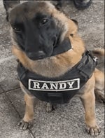 Tory Lanez And This is Just The Intro [Official Visualizer]