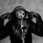 ๐๐ฐ๐ณ๐ฅ๐ฉ๐ฆ๐ญ๐ญ ๐๐ถ๐ณ๐ฅ๐ฆ๐ณ ๐ช๐ฏ ๐ฎ๐บ ๐ฎ๐ช๐ฏ๐ฅ ๐ต๐ช๐ฌ๐ต๐ฐ๐ฌ