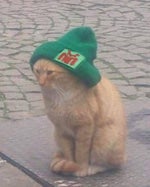 Trust Issues (with trumpet version)