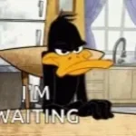 Flufffing duck BG Music