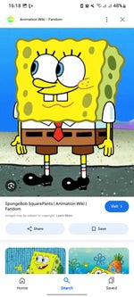 sponge