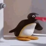 NOOT NOOT FUNK (copy)