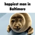 baltimore seal