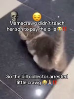 Bill collector