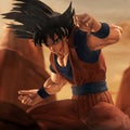 Goku bed Spars