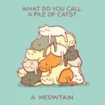 moutain of cats